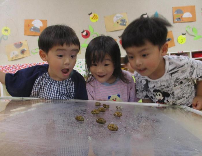 カタツムリの様子を見て驚く3歳児