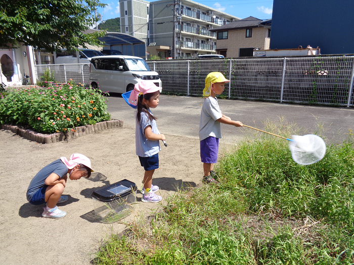 虫さがしをしている子どもの様子