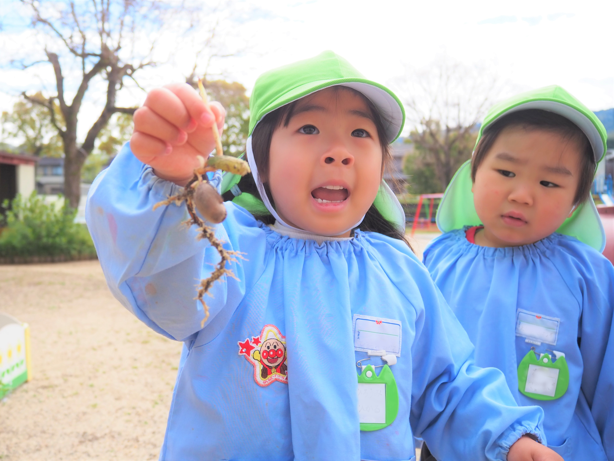 根のはったドングリを持つ子ども