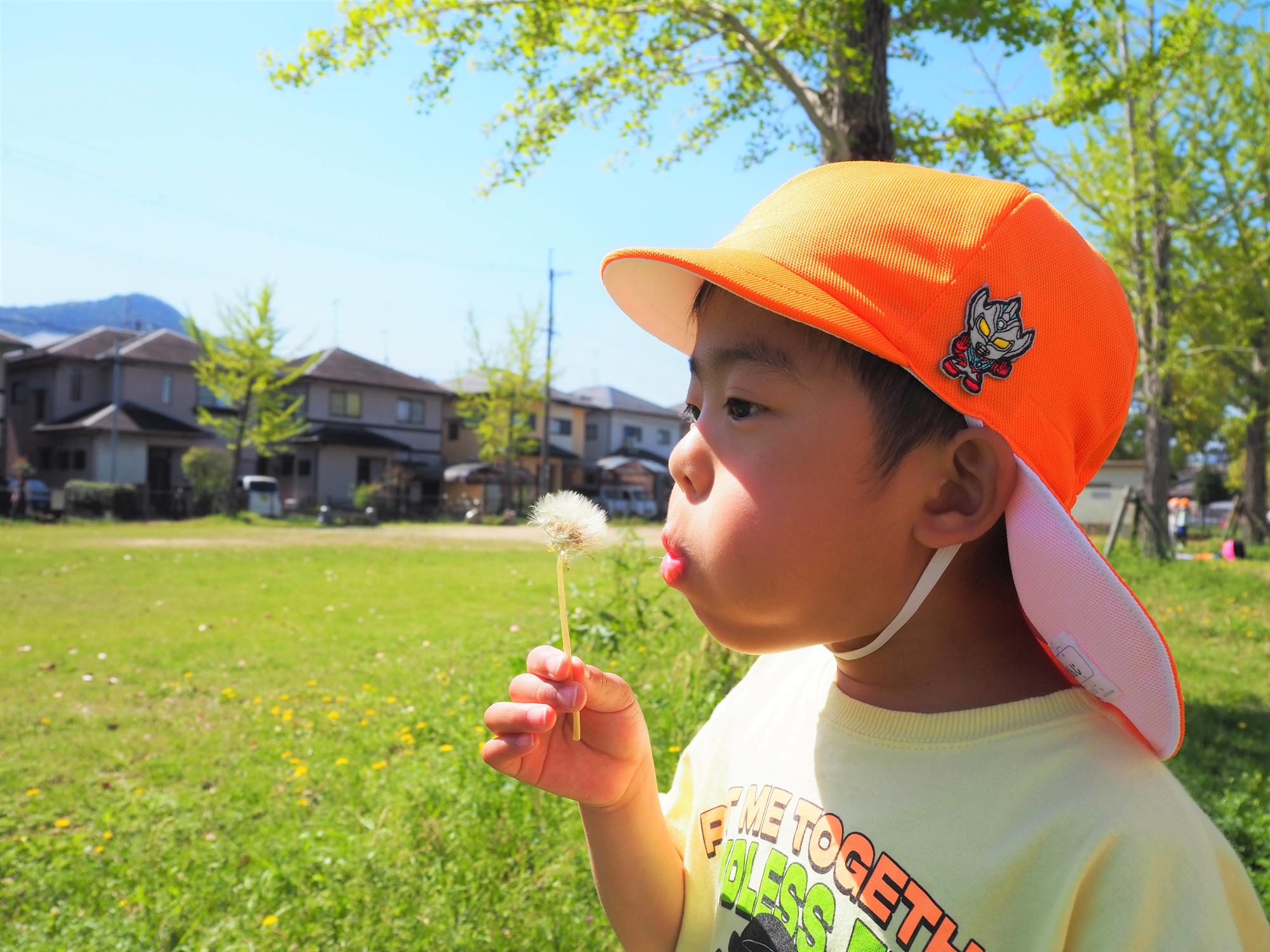 綿毛を飛ばす子ども