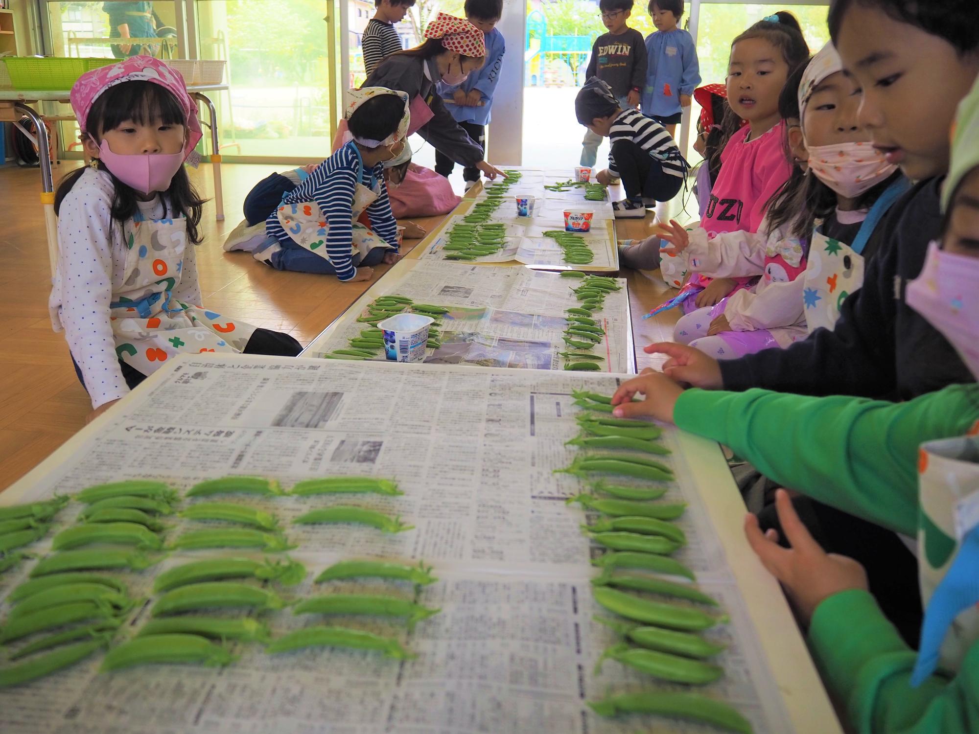 豆を並べているのを見る子ども