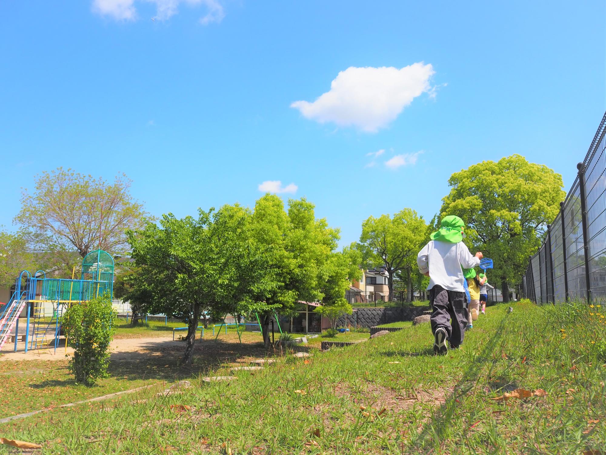 園庭の土手を駆ける子ども