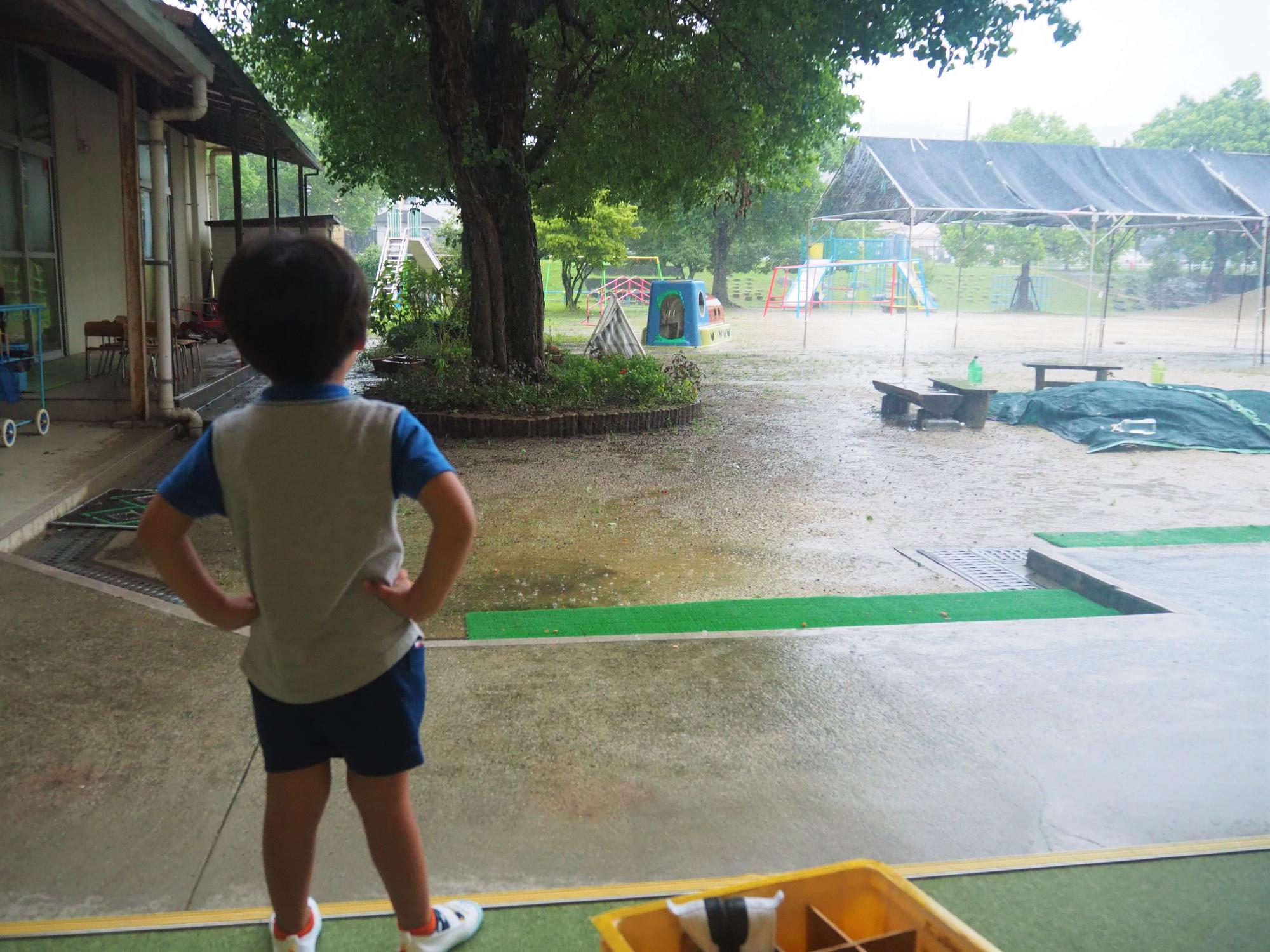 大雨を眺める子ども