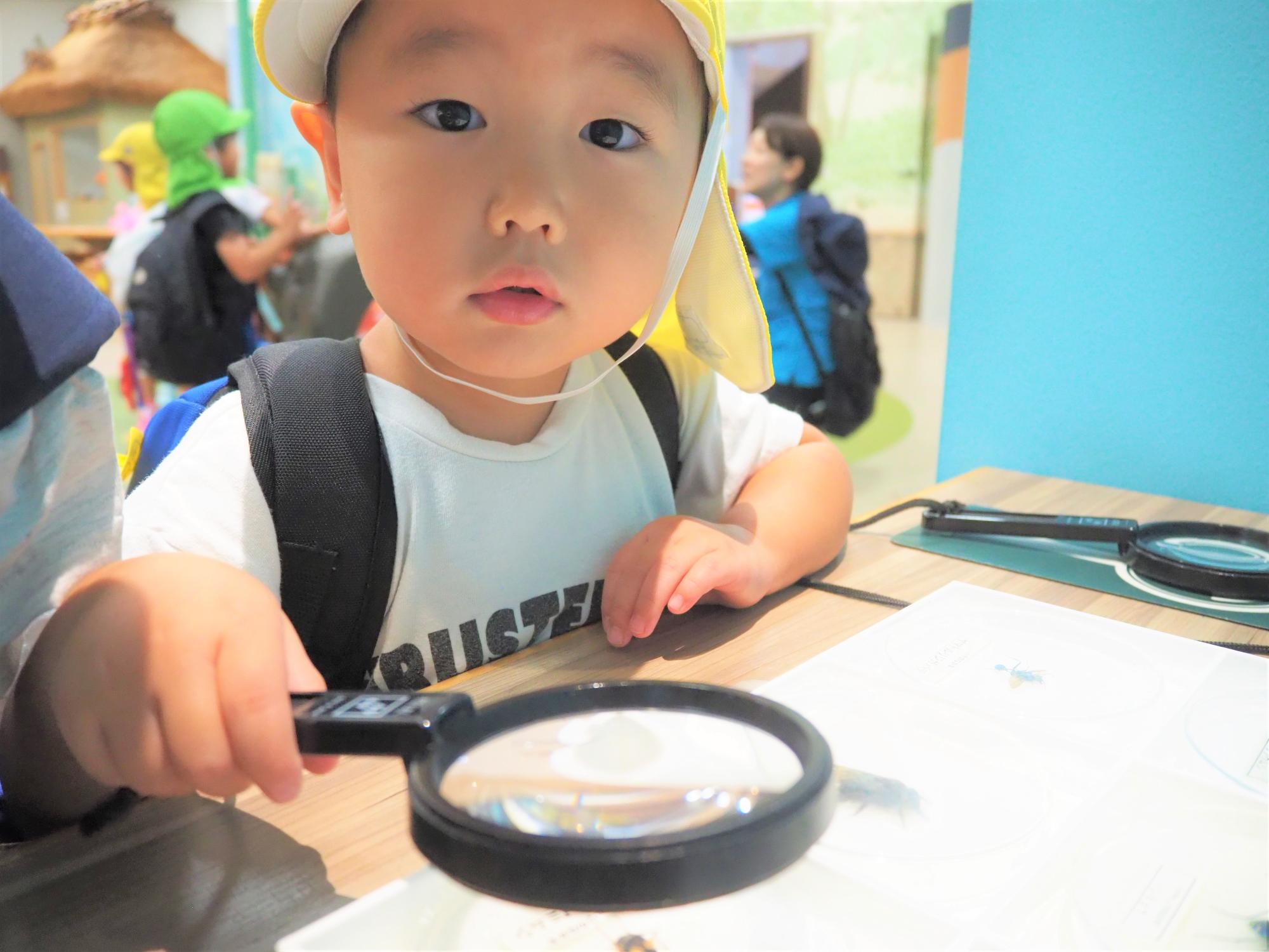 琵琶湖博物館のライブラリーで虫眼鏡をもち探究する子ども