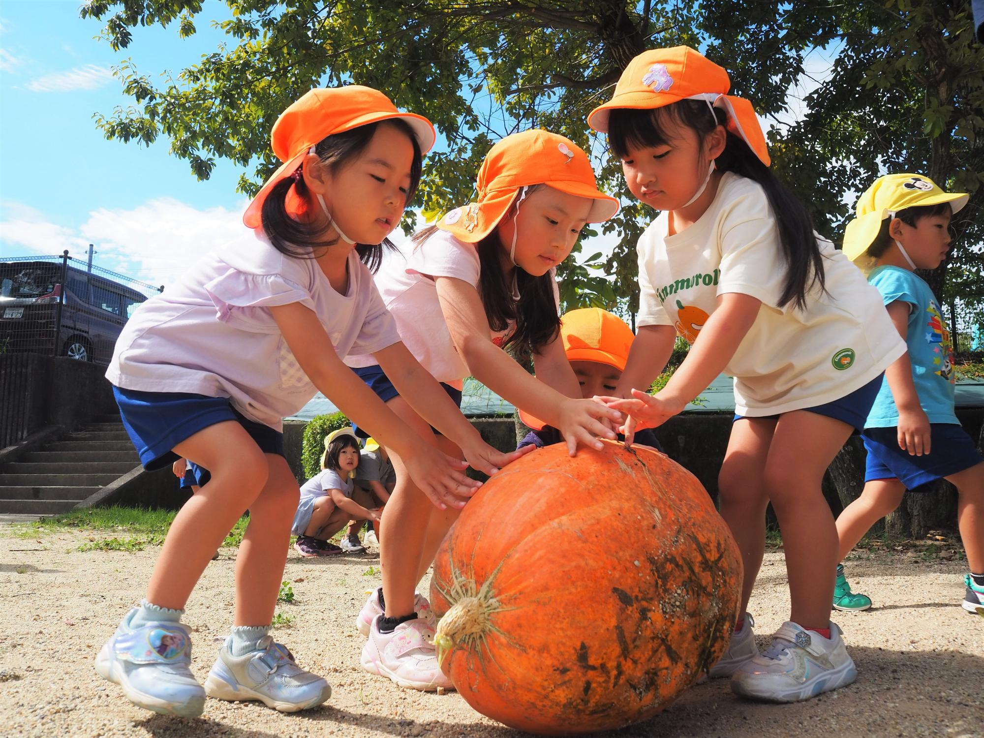 お化けカボチャを運ぶ子供