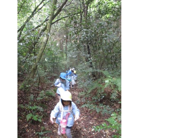 源内峠の森の中を歩いているところ