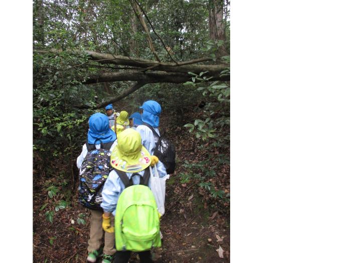 木のトンネルをくぐって進んでいるところ