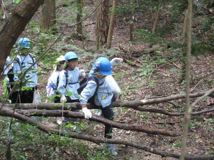 倒れた木を乗り越えて進んでいるところ