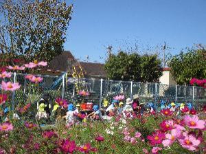 こそモス畑でお弁当を食べているところ