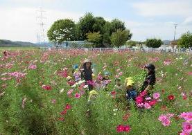 こそモス畑を探検しているところ