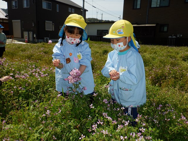 菜の花摘みをする子どもたち