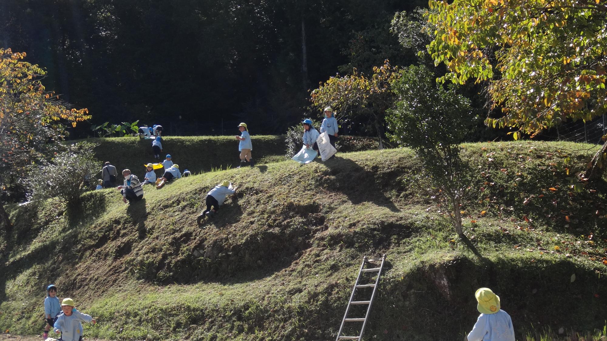 里山体験