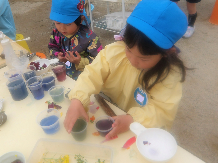 5歳児が色水を作って遊ぶ様子