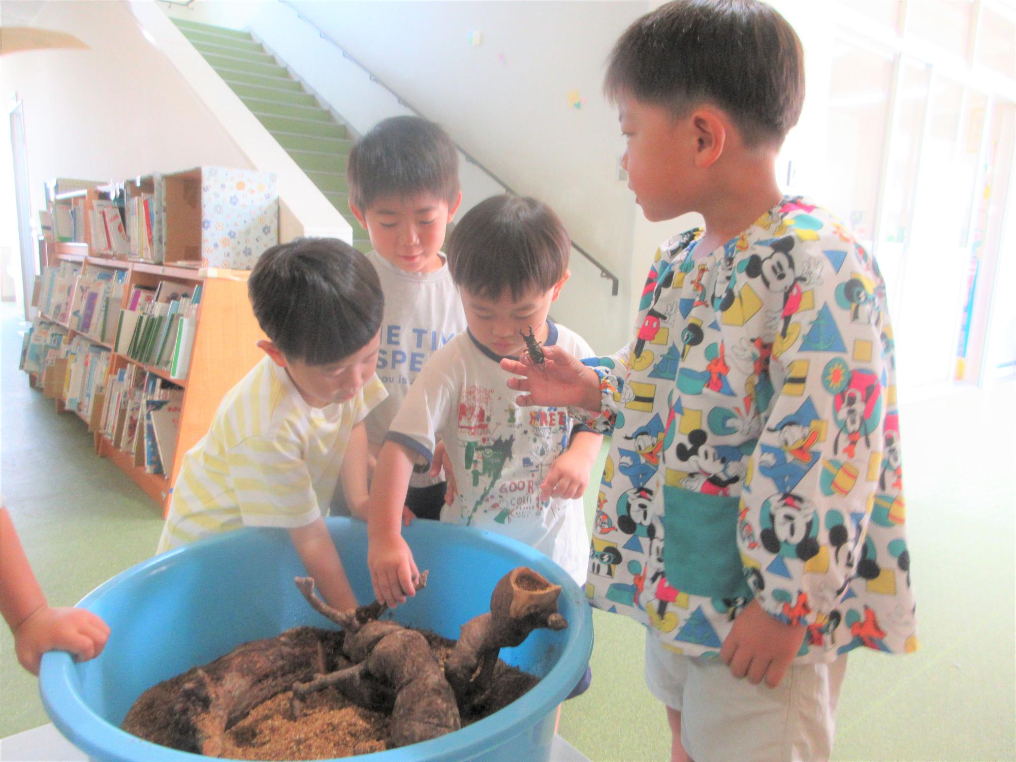 子どもたちが虫を触っている様子