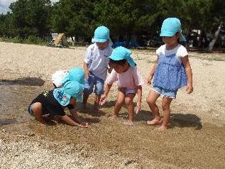 浜で魚をとる子どもたちの様子