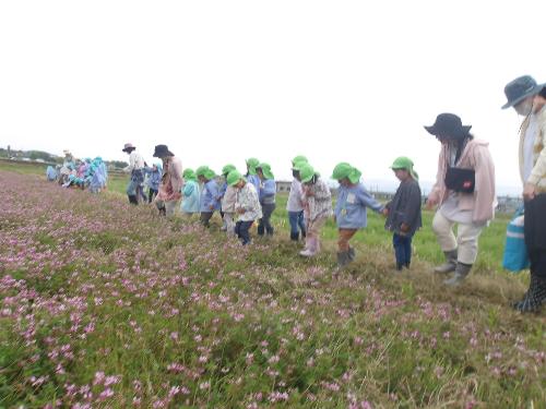 れんげ畑で遊ぶ子どもたちの様子
