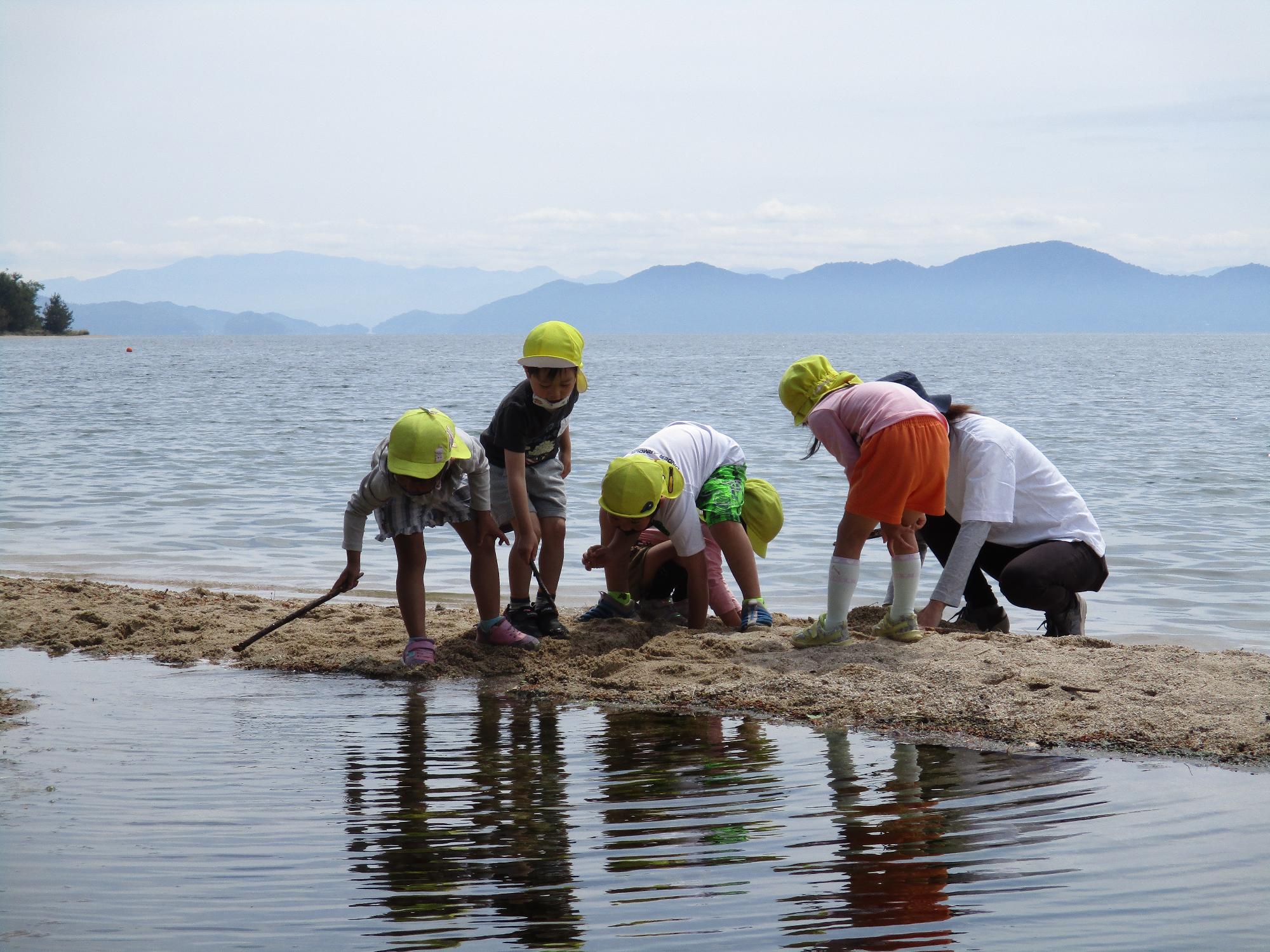 琵琶湖松の浦で遊ぶ子どもたち