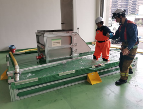 水流に逆らって歩く様子