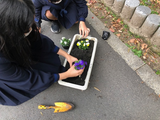 日吉中学校の花の植え替え