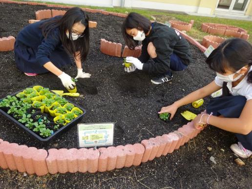 瀬田南小学校での活用