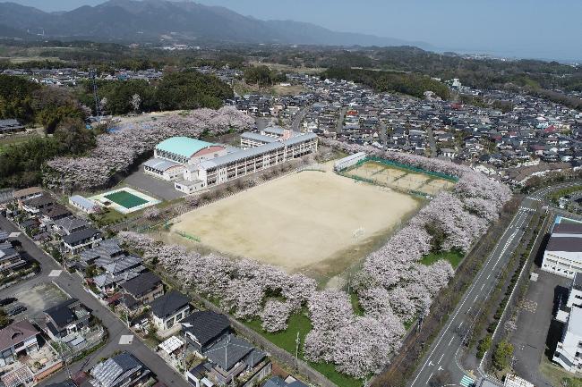学校の全景