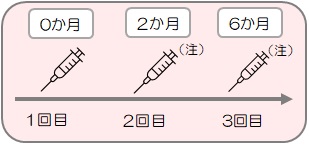 シルガード9を15歳以上で接種する場合の接種間隔