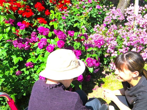 フォト応募作品:花がつないだ時間