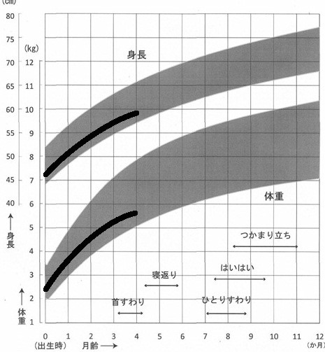 成長曲線の身長、体重がともに下のラインの図