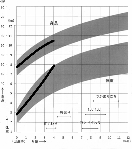 成長曲線の体重が上向きの図