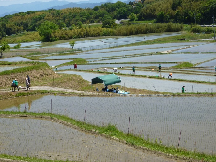 仰木平尾地区