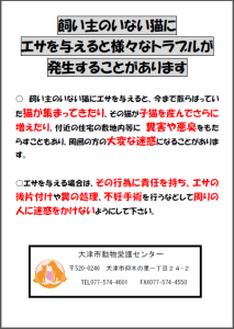 チラシイメージ画像　飼い主のいない猫にエサを与えると