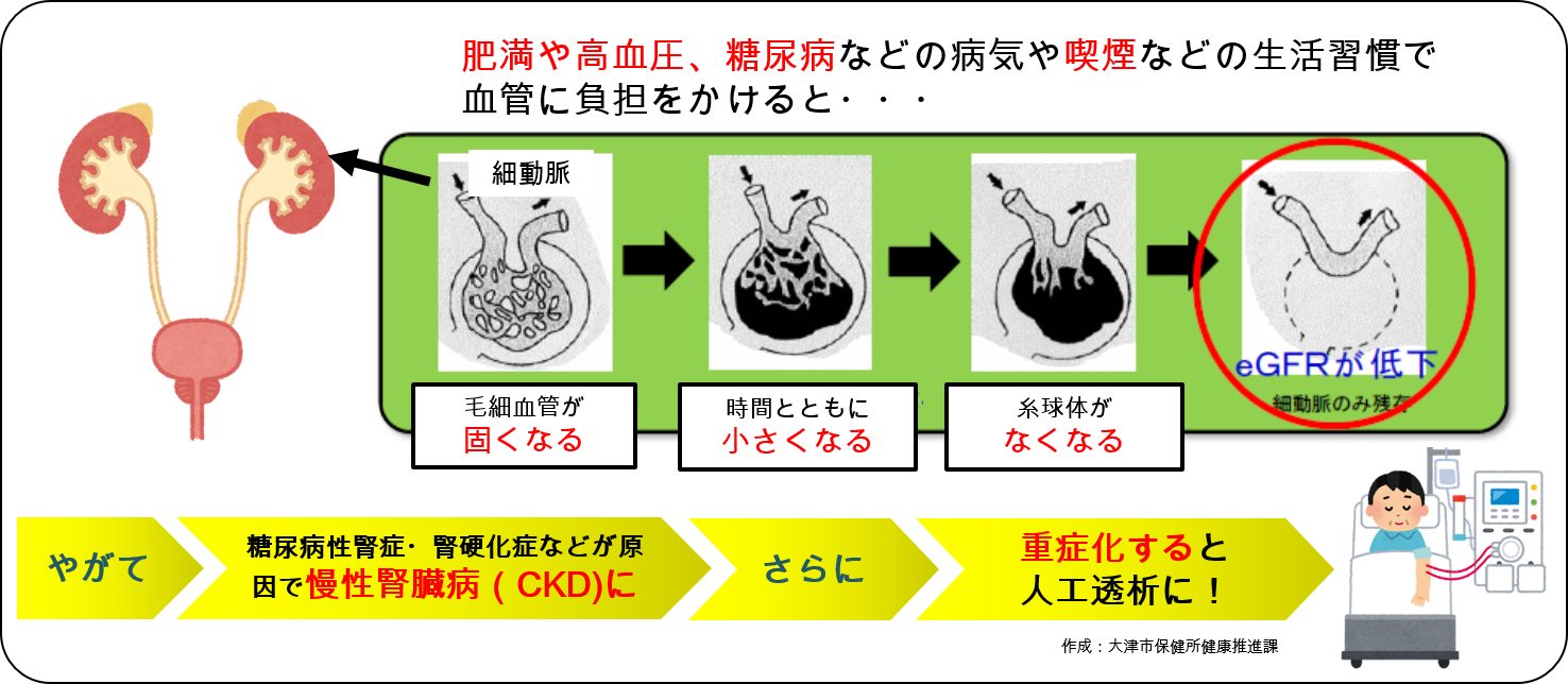 腎機能が低下すると