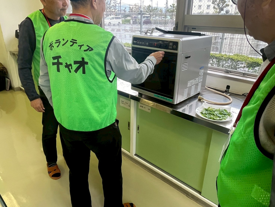 チャオ環境部会研修「茶摘み」で摘んだ茶葉をレンジにかける様子