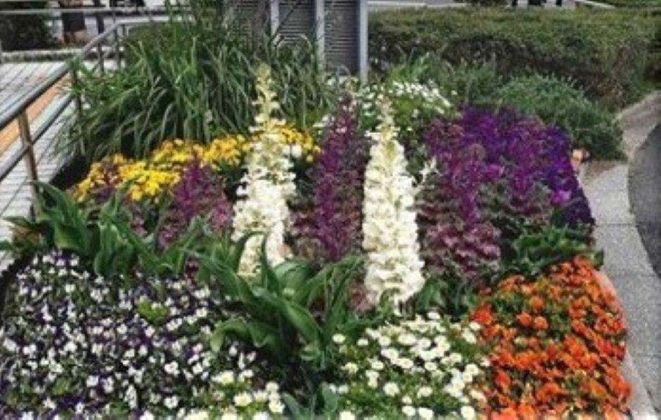花壇全景