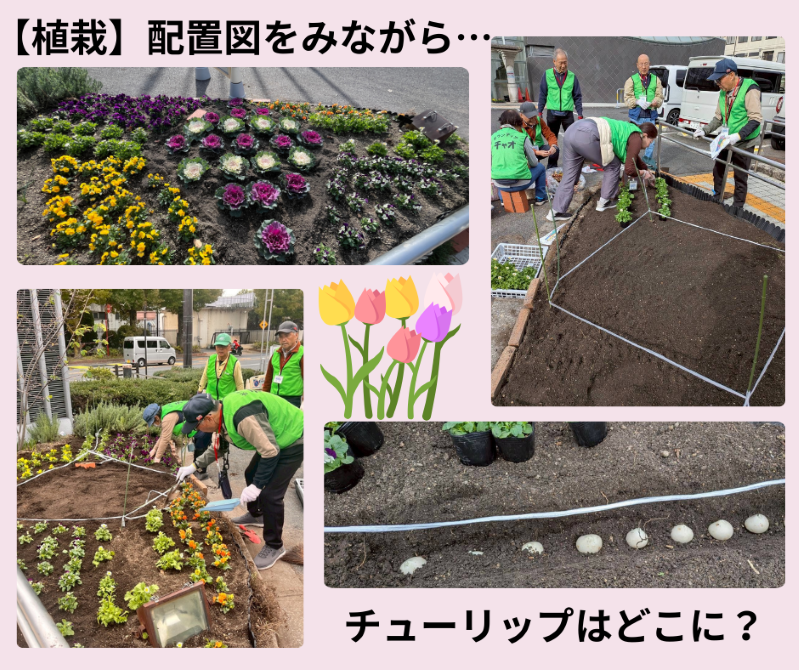 チャオ環境部会　生涯学習センターの植栽