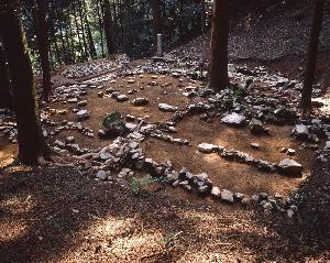 日吉神宮寺遺跡の全景写真